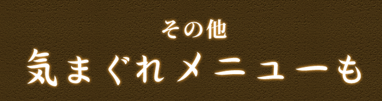 その他気まぐれメニューも